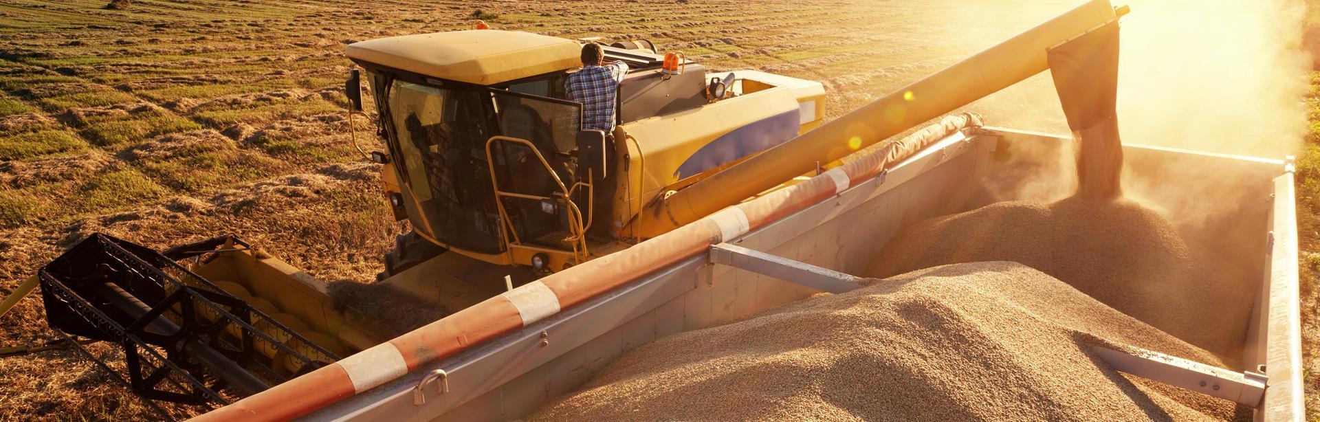 Zbiory zboża z pola Slajd #1